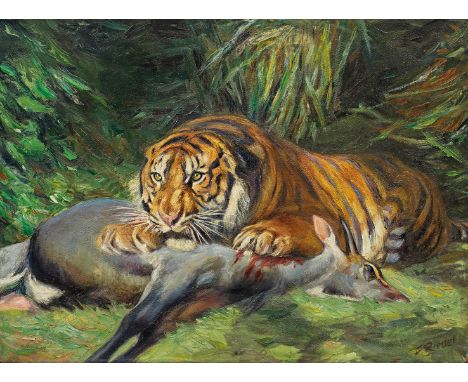 F. Riedel (Tiermaler. Tätig 20. Jh.)Tiger mit erlegter AntilopeIn lockerem, breitem Duktus und kräftigem Kolorit angelegte Da