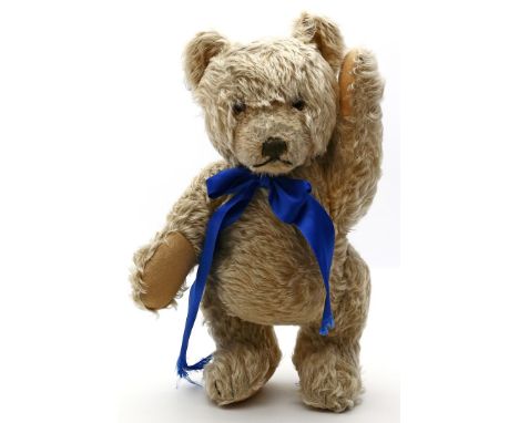 Steiff-Teddy. Blonder Mohair. Drehkopf mit braunen Glasaugen und gestickter Schnauze mit Nase. Gegliedert mit Scheibengelenke