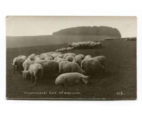 SUSSEX DOWNS. An album containing approximately 205 postcards of the Sussex Downs, including views of Chanctonbury Ring, Ciss