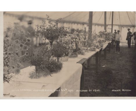 LITTLE COMMON. A collection of 18 postcards of Little Common, near Bexhill, East Sussex, including photographic postcards tit