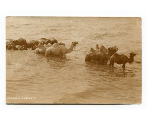 BOGNOR REGIS. A collection of approximately 62 postcards and 2 photographs of Bognor Regis, West Sussex, including photograph