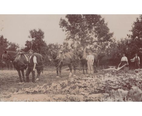 HEATHFIELD. A collection of 36 postcards of Heathfield, East Sussex, including photographic postcards titled 'New Farm, Heath