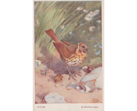 A very large collection of postcards in 33 albums, including many of animals and flowers, and many modern postcards.Buyer’s P