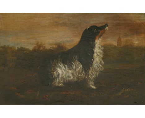 English School, 19th century PORTRAIT OF A SPANIEL Oil on canvas 37 x 53.5cm