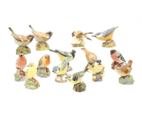 Fourteen Royal Worcester porcelain birds, including Great Tit 3335, Nuthatch 3334, Hedge Sparrow 3333, Robin 3197, etc