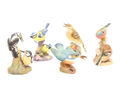 Ten Royal Worcester porcelain birds , including, jay, woodpecker, kingfisher, tits, etc