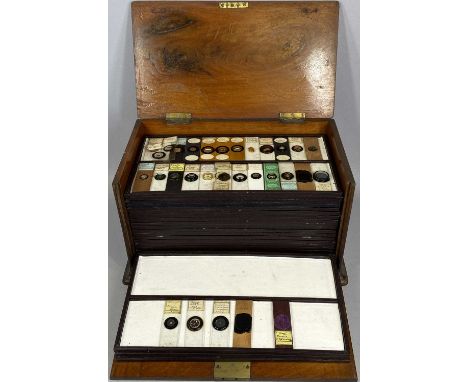 MAHOGANY SPECIMEN CASE with lift up lid and fall front, containing 24 trays of prepared microscope slides, 21.5 (h) x 38 (w) 