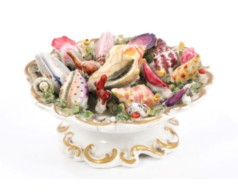 Early 19th century Chamberlains Worcester porcelain shell display in dish with naturalistic modelling and polychrome decorati