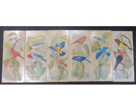 Six studies of Argentinian birds, Red Viudita, Cardinal, Yelllow-breasted chat and another, Yellow-headed Tanager, Ruby-crown