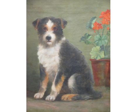 W Gawdy, Portrait of a sitting dog by geraniums, signed and dated (18)93, oil on canvas, 66.5 x 50cm  