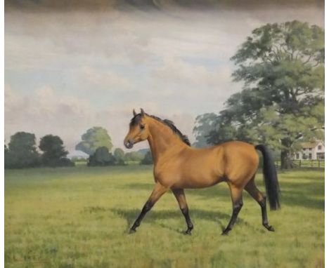 MAURICE TULLOCK "Bay horse in field", oil on canvas, signed and dated 1969 bottom left CONDITION REPORTS Some small indents t