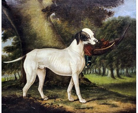 19th Century English School - Oil painting - Portrait of a standing Pointer with a pheasant in its mouth, relined canvas 20in