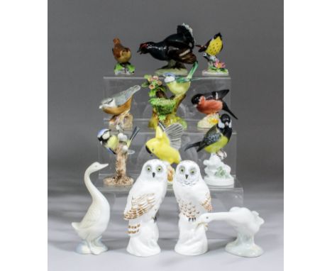 A collection of English and Continental ceramic bird models, including - Crown Staffordshire "Snowy Owl", 5.5ins high, modell