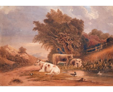 W Graham (19th century) - Three Cows by a Pond, signed, watercolour, 39.5 x 55.5cn  Small marks and scratches in various pass
