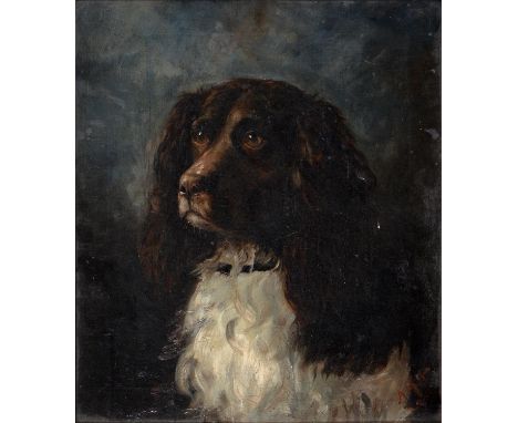 English School, 1893 - Portrait of a Spaniel, signed with initials A M H and dated 11/12 '93, oil on canvas, 39.5 x 34cm  Six