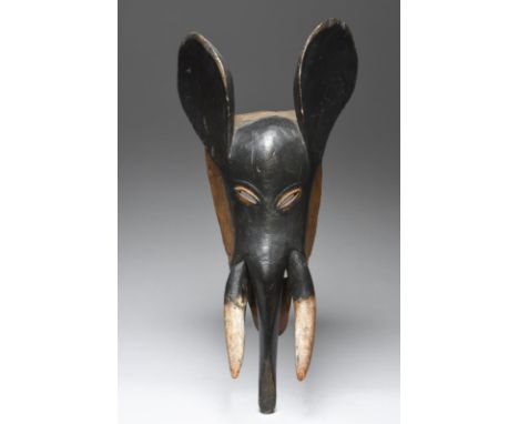 A Baule elephant mask Ivory Coast with a large pair of ears, a trunk and a pair of tusks with pierced eyes, having black, whi