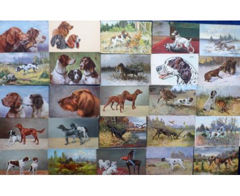 Postcards, a selection of approx. 80 cards of dogs, mostly hunting &amp; gun dogs, the majority published in Germany by H K &