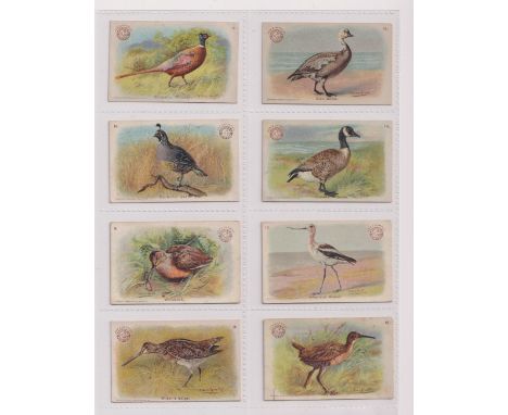 Trade cards, Church &amp; Dwight, Game Bird Series, 'M' size (set, 30 cards) (gd)