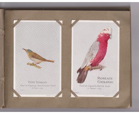 Trade cards, Capern's, Cage Birds, 'P' size, 48 cards in special c/m album (vg)