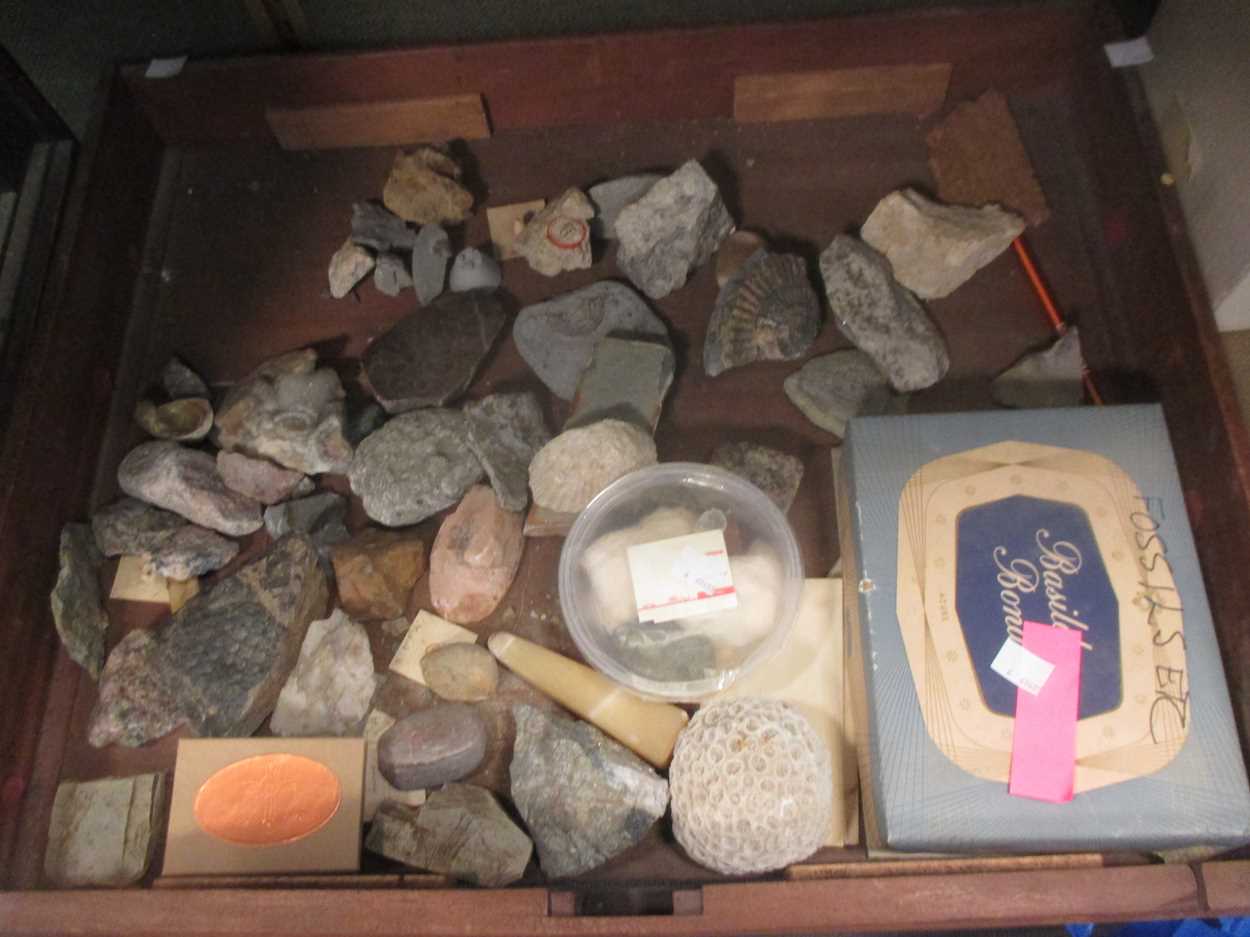 Geological interest a collection of multiple rock and mineral