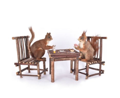 Anthropomorphic Taxidermy: Two red squirrels (Sciurus vulgaris), both seated upon a chair holding playing cards, one smoking 