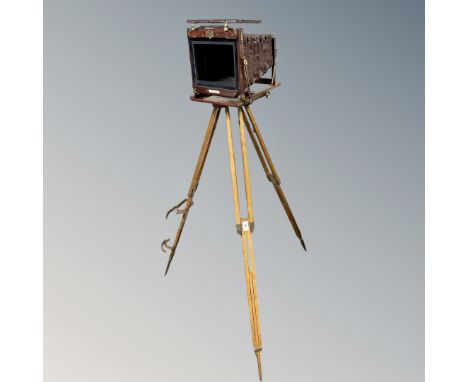 A Thornton Pickard plate camera on tripod with related accessories together with a further W H Junior box camera 