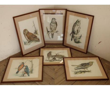 After Nancy Wilkes set of five hand coloured prints depicting birds of prey and one showing kingfishers 
