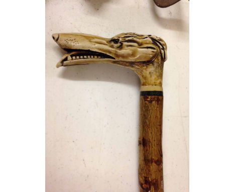 A 'long dog' walking stick - the dog's head carved from Red Deer antler