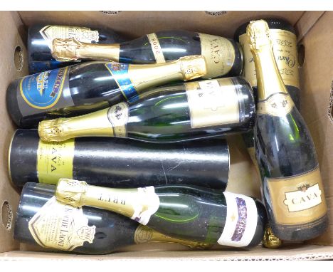 Eight bottles of vintage Cava and other sparkling wines including a 1.5ltre bottle of Charlemagne