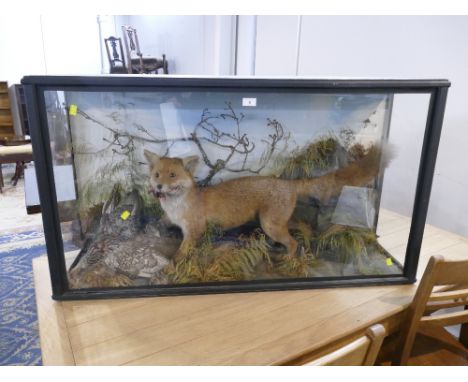 Cased fox with pheasant prey taxidermy in naturalistic setting with watercolour background, trade label verso Ayre &amp; Co T