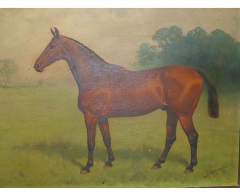 BASIL NIGHTINGALE  (1864-1940)  A PORTRAIT OF A HORSE, SIGNED AND DATED 1915, OIL ON CANVAS.   46 x 62cms.
