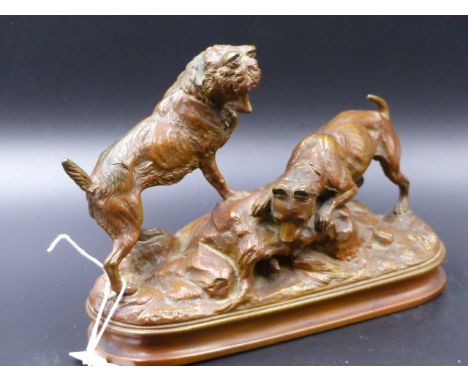 AN EARLY 20th.C.BRONZE FIGURE GROUP OF HUNTING DOGS OVER A RABBIT SIGNED ARSON.   W.22cms.
