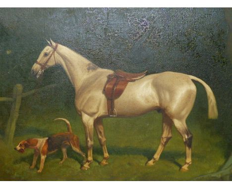 BASIL NIGHTINGALE.  (1864-1940)  PORTRAIT OF A SADDLED HUNTER AND HOUND, SIGNED AND DATED 1923, OIL ON CANVAS.   41 x 56cms.