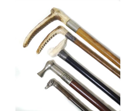 A collection of hunting whips and canes, one cane with handle in the form of a hound, the other with a bone handle carved in 