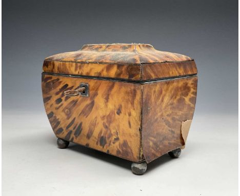 An early Victorian tortoiseshell tea caddy, fitted with twin lidded compartments and raised on ball feet, width 17cm.Provenan