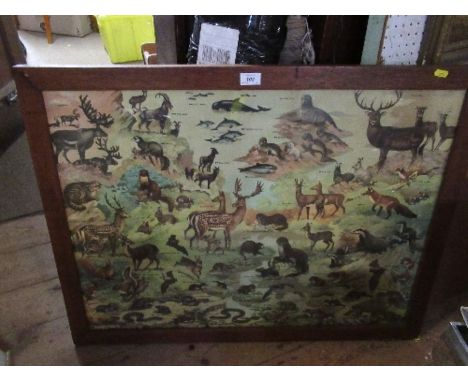 A colour print, of various names wild animals, 24ins x 32ins