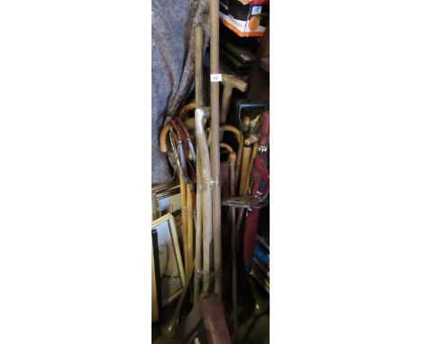A collection of sticks, tools, etc.
