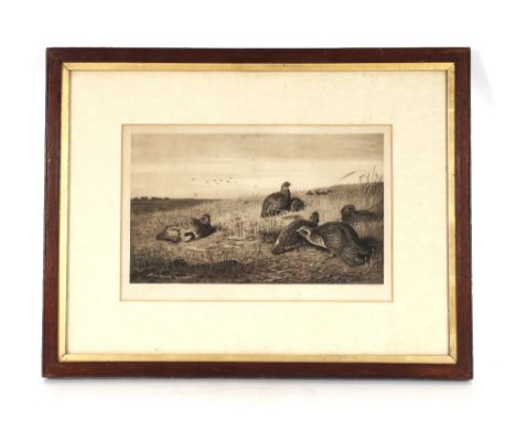 Archibald Thorburn, black and white print&nbsp; of partridge and another of pheasant in period oak frames, 29cm x 43cm&nbsp;