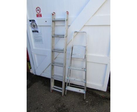 Alloy step ladder and extending ladder  