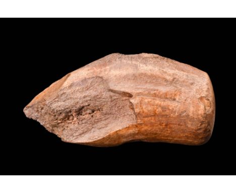 Ca. 8000 - 6000 BC. A horn axe with a slightly curved profile, and a single, drilled hole, which allowed for attachment to a 