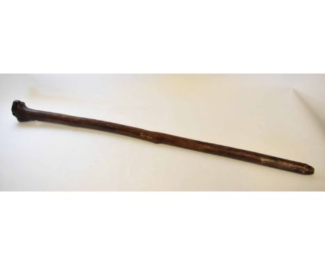 Root and trunk walking staff, overall length 126cm 