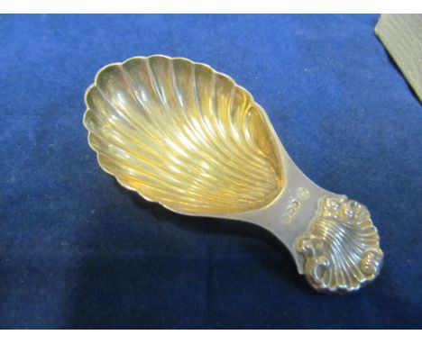 A silver shell caddy spoon