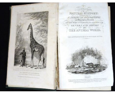 ANON: THE ILLUSTRATIONS OF NATURAL HISTORY EMBRACING A SERIES OF ENGRAVINGS AND DESCRIPTIVE ACCOUNTS OF THE MOST INTERESTING 