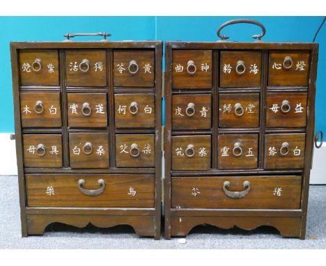 Early 20th century Chinese traveling Apothecary chest: Multi drawer internals with hand painted characters to drawers, height