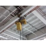 Budgit 1 Ton Lift