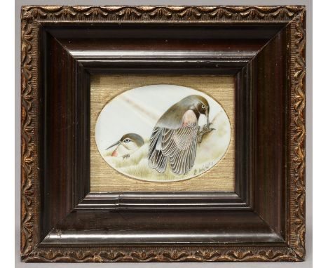 BRITISH SCHOO (?), 19TH/EARLY 20TH C - OVAL IVORY MINIATURE&nbsp; OF TWO BIRDS, INDISTINCTLY SIGNED R W..., 69 X 96MM, FRAMED