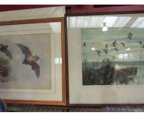 Four bird pictures including Archie Thorburn print of bats, Peter Scott and Vernon Lever of barn owl in flight
