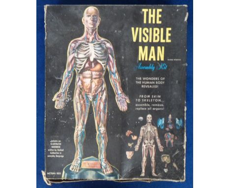 Toys, The Visible Man assembly kit made by Renwal circa 1959, appears complete with body, skeleton, vital organs, stand, orig