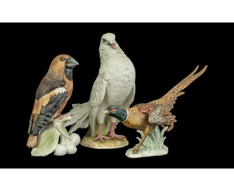 Three Goebel Bird Figures, comprising a Pheasant No CV120, 6'' tall, Dove Pigeon 38155, 8'' tall, and a Hornbill 7'' tall.