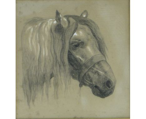 J H Miralees
charcoal/chalk portrait of a horse, signed, 9.5" x 9.5", framed.